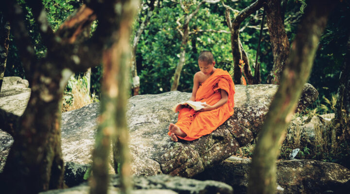 Monk reading a book